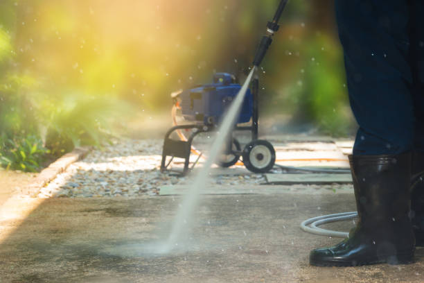 Best Roof Washing  in Maxwell, CA